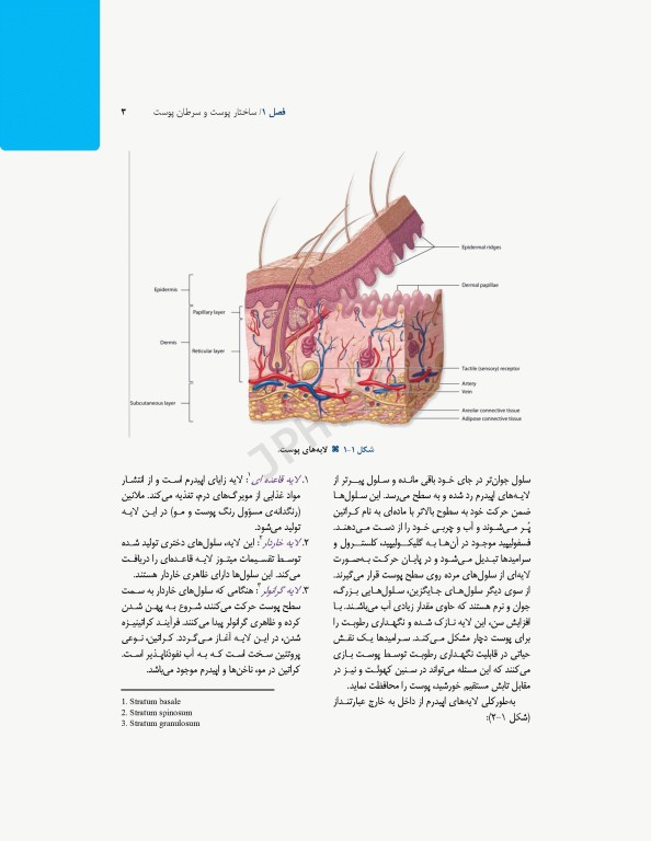 تکنولوژی جراحی ترمیمی پلاستیک پوست و سوختگی ساداتی و گلچینی
