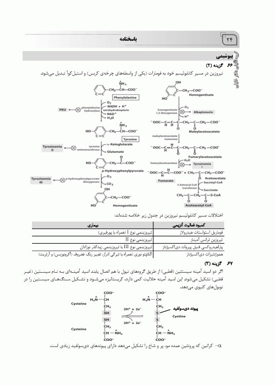 بانک سوالات ده سالانه IQB ارشد فیزیولوژی 85 تا 95 همراه با پاسخنامه تشریحی