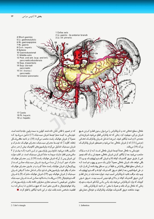 اطلس جراحی زولینجر 2022 دکتر گلچینی