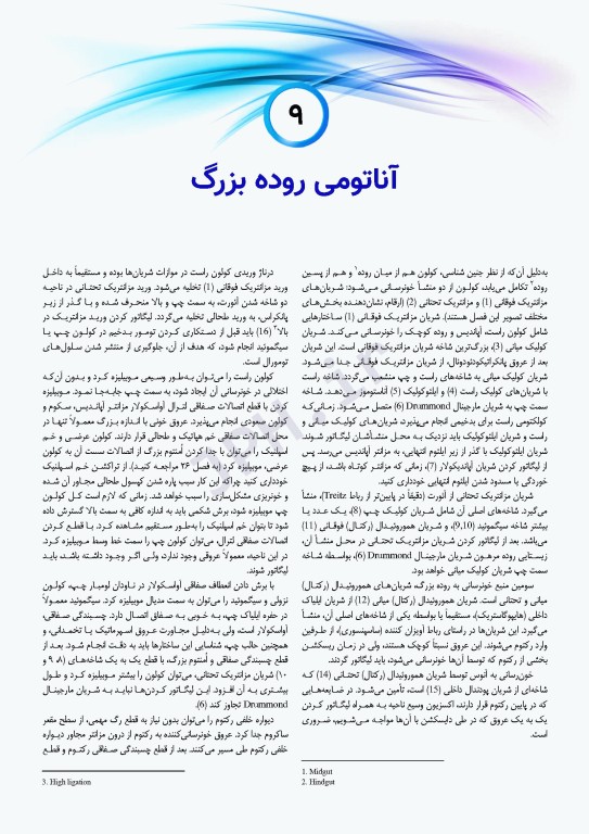 اطلس جراحی زولینجر 2022 دکتر گلچینی