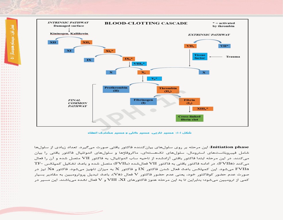 مروری اجمالی بر انعقاد و ترومبوز