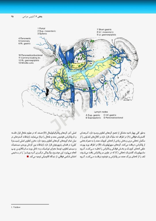 اطلس جراحی زولینجر 2022 دکتر گلچینی
