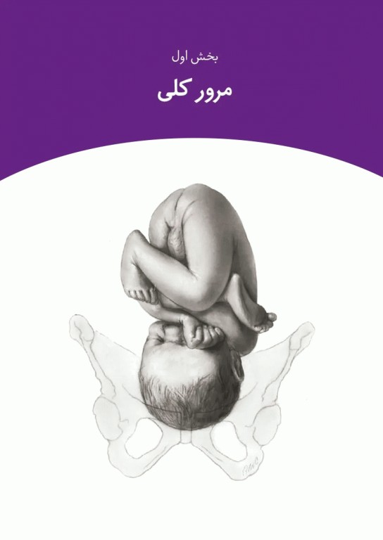 بارداری و زایمان ویلیامز 2022 قاضی جهانی جلد اول تمام‌رنگی شومیز