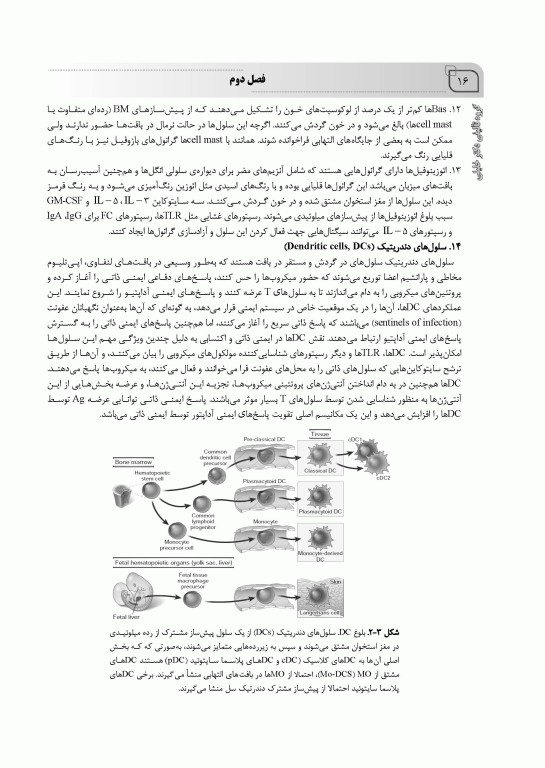 گنجینه نکات ایمونولوژی سلولی و مولکولی ابوالعباس 2022