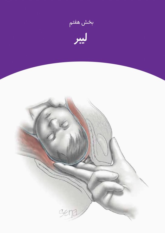 بارداری و زایمان ویلیامز 2022 قاضی جهانی جلد دوم تمام‌رنگی شومیز