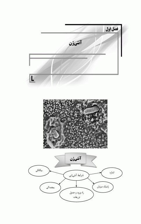 نکته و پرسش ایمنی‌شناسی 2022 امیررضا صفدریان همراه با پاسخنامه تشریحی