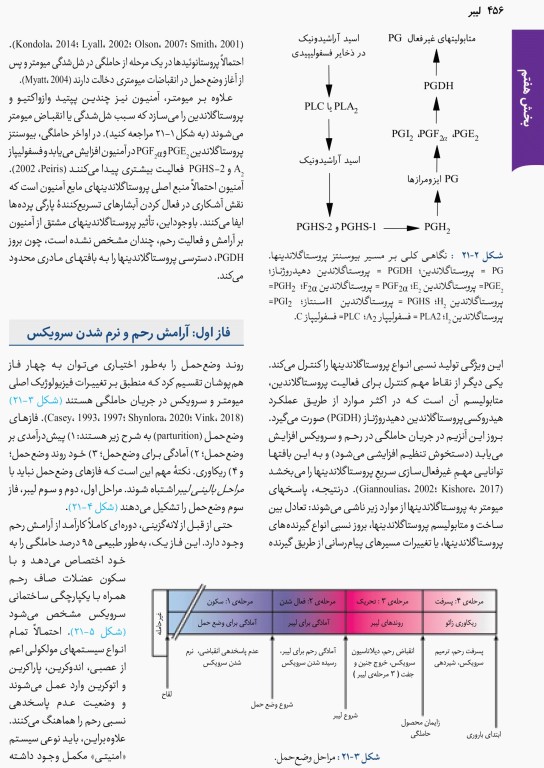 بارداری و زایمان ویلیامز 2022 قاضی جهانی جلد دوم تمام‌رنگی شومیز