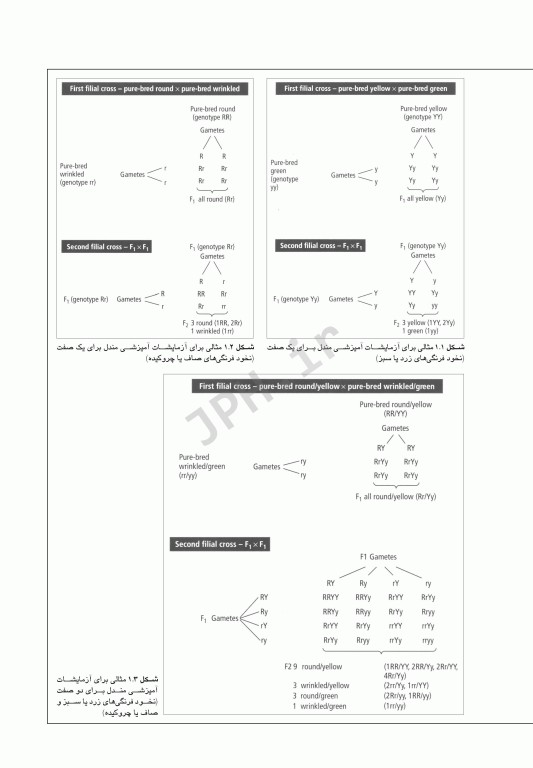 مبانی ژنتیک پزشکی کانر