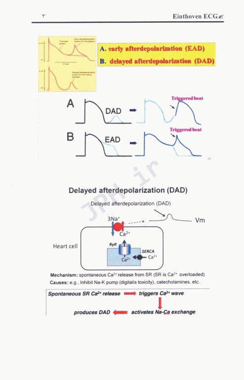 برترین و تخصصی‌ترین نکات آموزش نوار قلب ECG جلد2 تخصصی