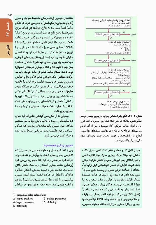اصول طب داخلی هاریسون 2022 بیماری‌های دستگاه تنفس همراه با اطلس رنگی
