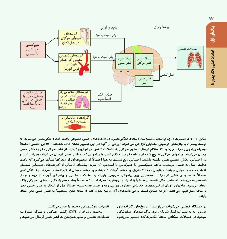 اصول طب داخلی هاریسون 2022 بیماری‌های دستگاه تنفس همراه با اطلس رنگی