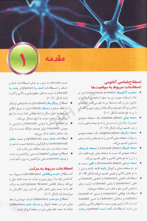 مرجع خلاصه QR آناتومی بالینی اسنل 2019