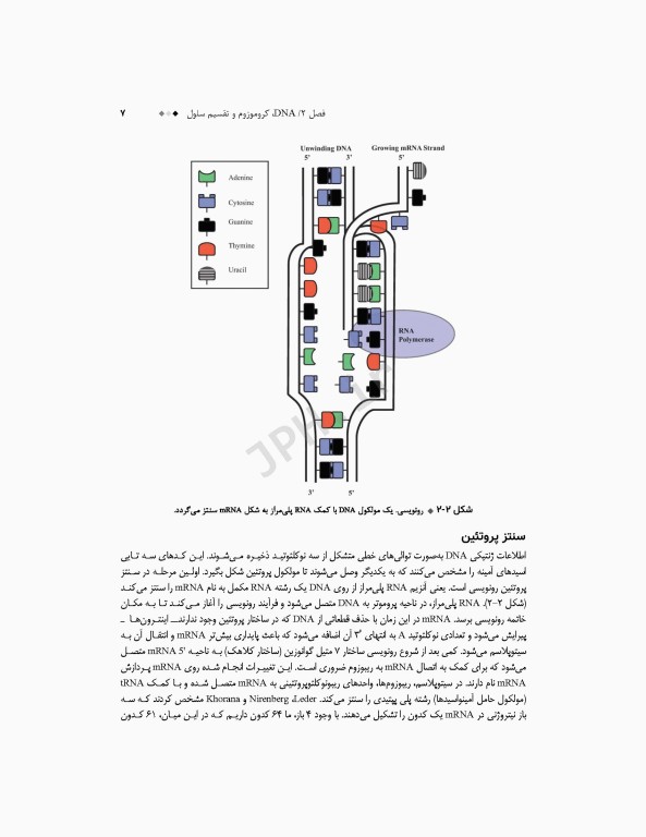 خلاصه‌ی جامع سیتوژنتیک