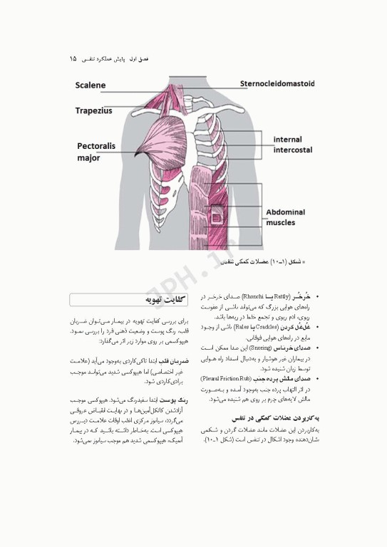 پایش‌های پیشرفته پرستاری