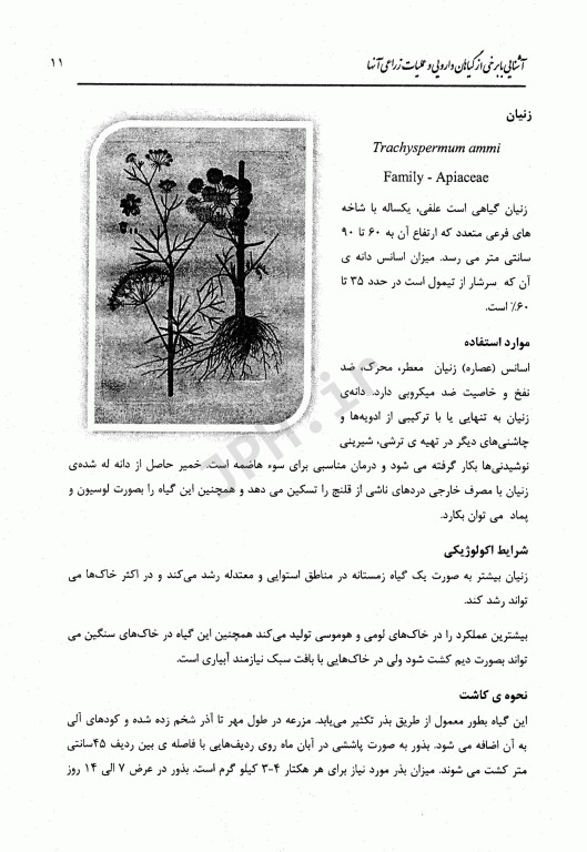 آشنایی با برخی از گیاهان دارویی و عملیات زراعی آن‌ها