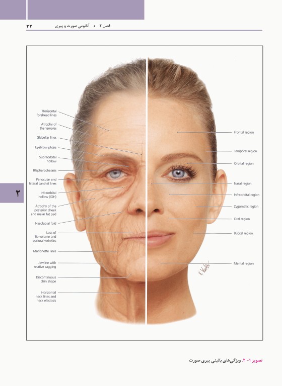 راهنمای مصور تزریق فیلر دکتر داوود رمزی
