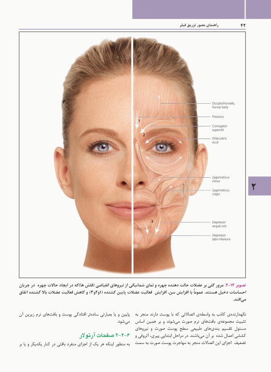 راهنمای مصور تزریق فیلر دکتر داوود رمزی