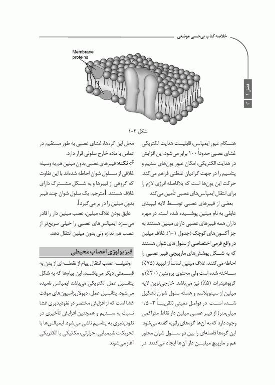 خلاصه کتاب Book Brief بی‌حسی موضعی مالامد 2020