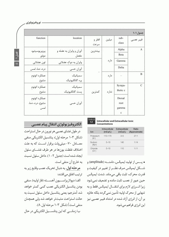 خلاصه کتاب Book Brief بی‌حسی موضعی مالامد 2020