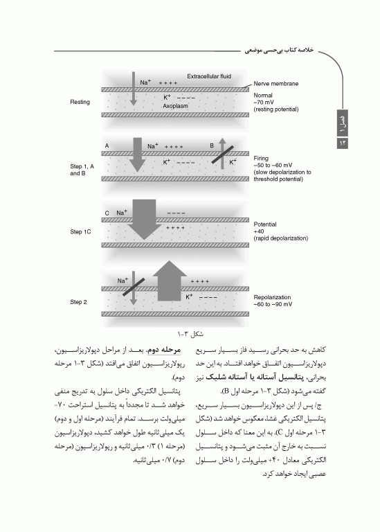 خلاصه کتاب Book Brief بی‌حسی موضعی مالامد 2020
