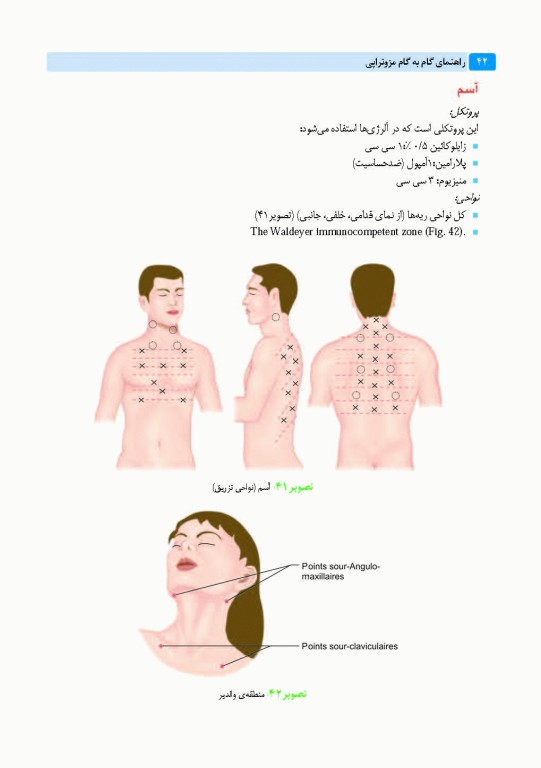 راهنمای گام به گام مزوتراپی دکتر داوود رمزی