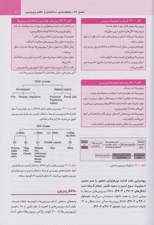 میکروب‌شناسی پزشکی مورای 2026 ویروس‌شناسی