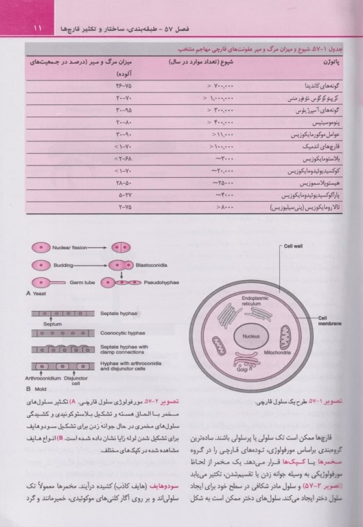 میکروب‌شناسی پزشکی مورای 2021 قارچ‌شناسی و انگل‌شناسی