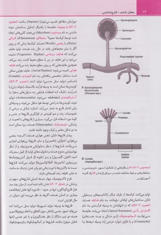 میکروب‌شناسی پزشکی مورای 2021 قارچ‌شناسی و انگل‌شناسی