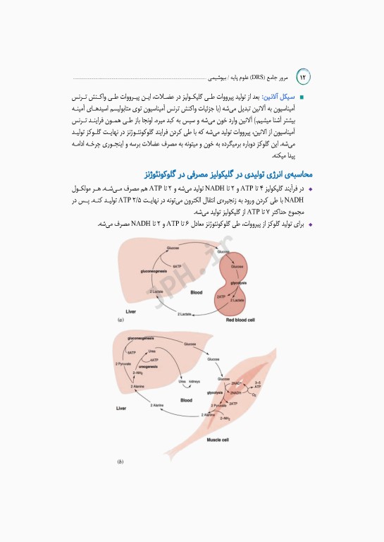 مرور جامع DRS علوم پایه پزشکی بیوشیمی