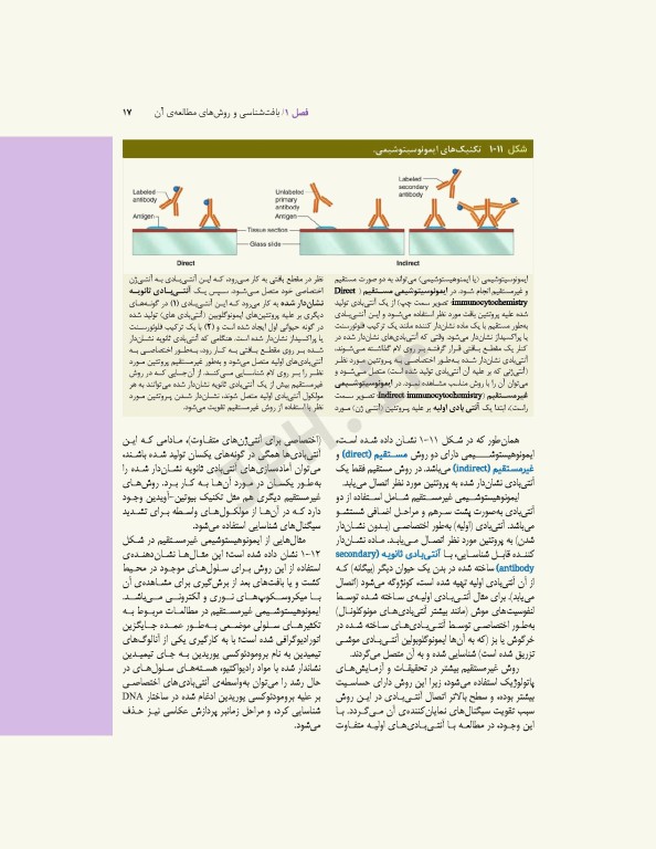 بافت‌شناسی پایه جان کوئیرا 2021