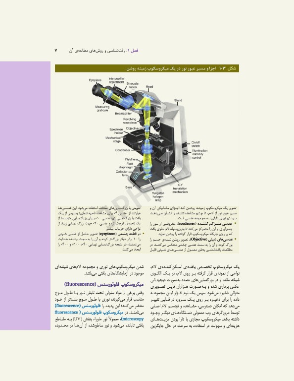 بافت‌شناسی پایه جان کوئیرا 2021
