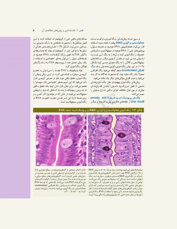 بافت‌شناسی پایه جان کوئیرا 2021