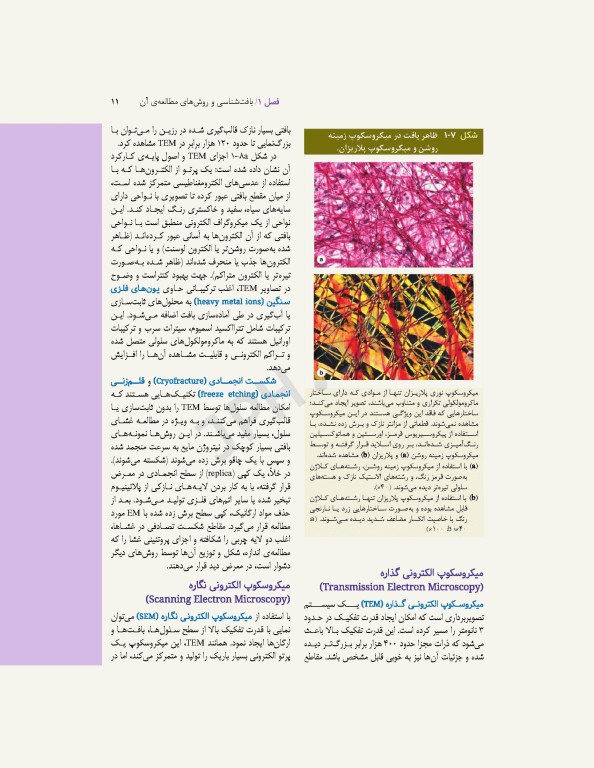 بافت‌شناسی پایه جان کوئیرا 2021