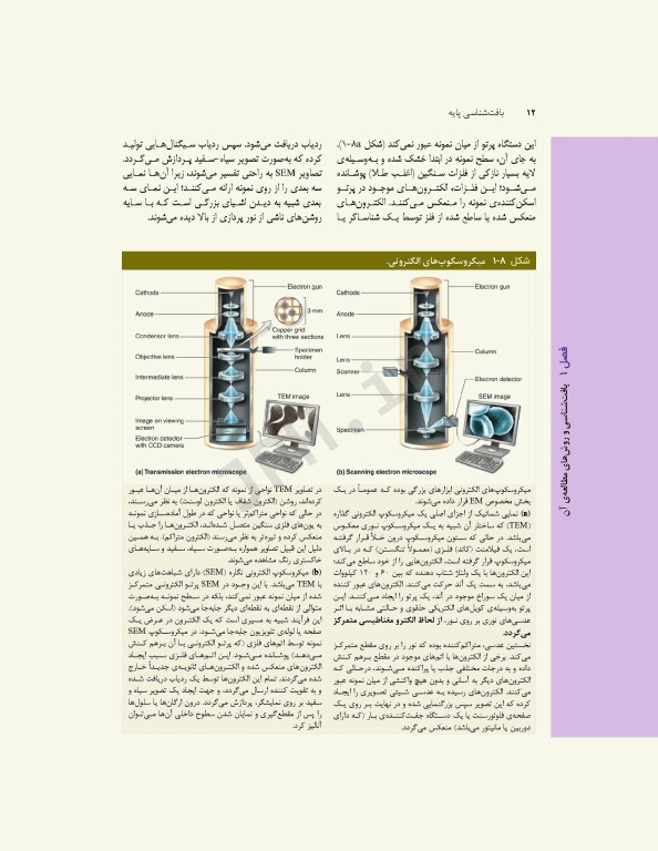 بافت‌شناسی پایه جان کوئیرا 2021