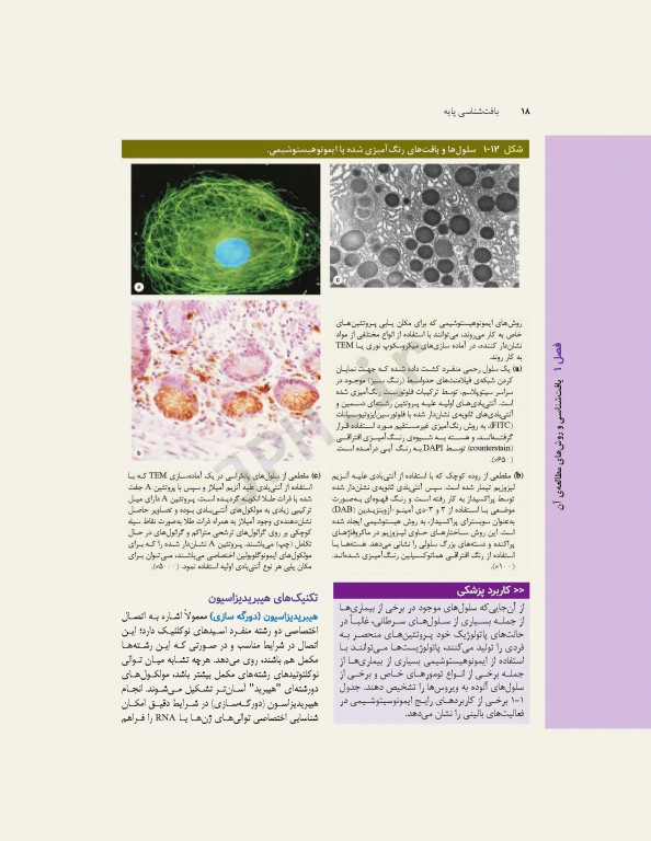 بافت‌شناسی پایه جان کوئیرا 2021
