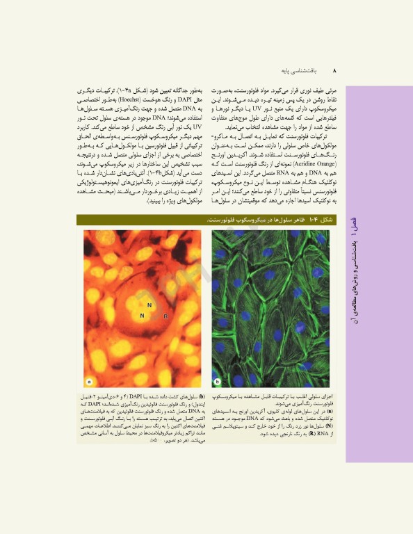 بافت‌شناسی پایه جان کوئیرا 2021