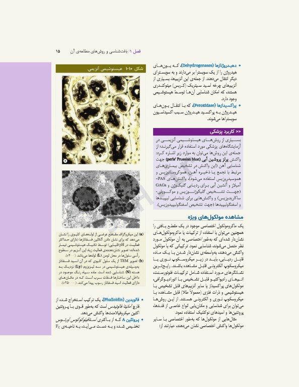 بافت‌شناسی پایه جان کوئیرا 2021