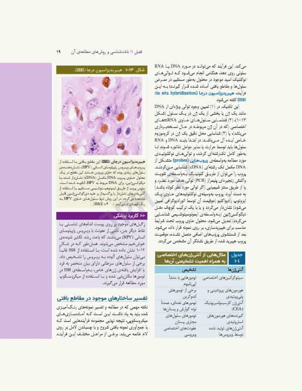 بافت‌شناسی پایه جان کوئیرا 2021