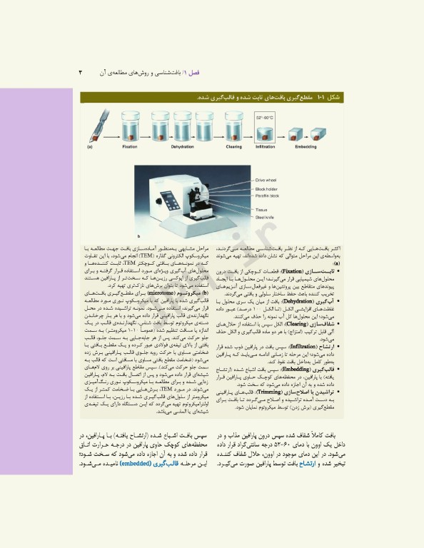 بافت‌شناسی پایه جان کوئیرا 2021