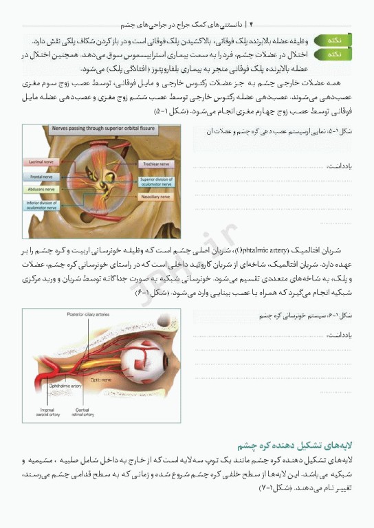 دانستنی‌های کمک جراح در جراحی‌های چشم