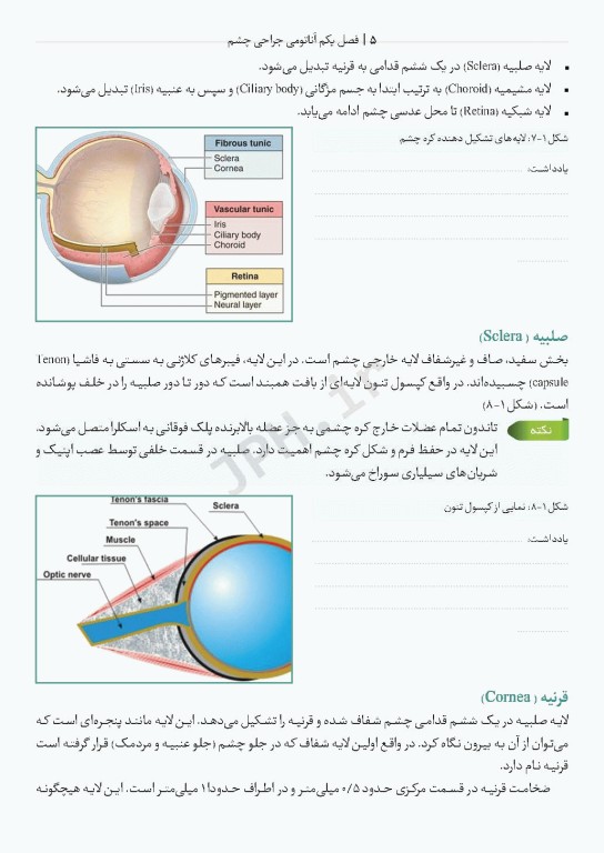 دانستنی‌های کمک جراح در جراحی‌های چشم