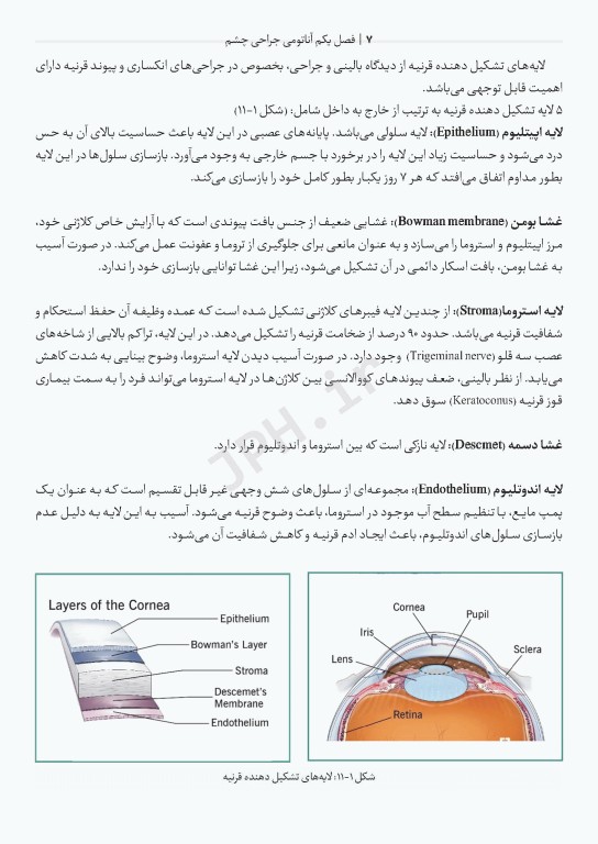 دانستنی‌های کمک جراح در جراحی‌های چشم