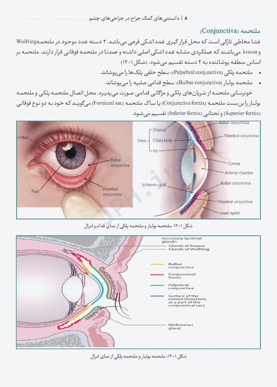 دانستنی‌های کمک جراح در جراحی‌های چشم
