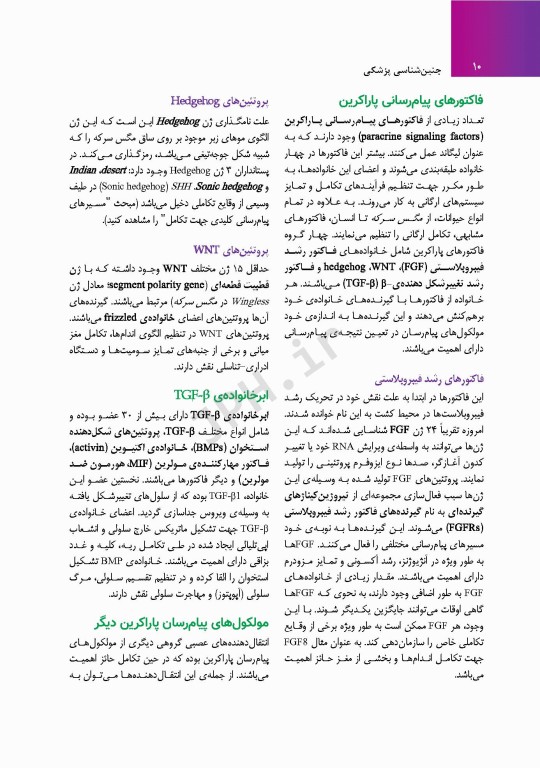 جنین‌شناسی پزشکی لانگمن 2023 دکتر مجیدپور جلد شومیز