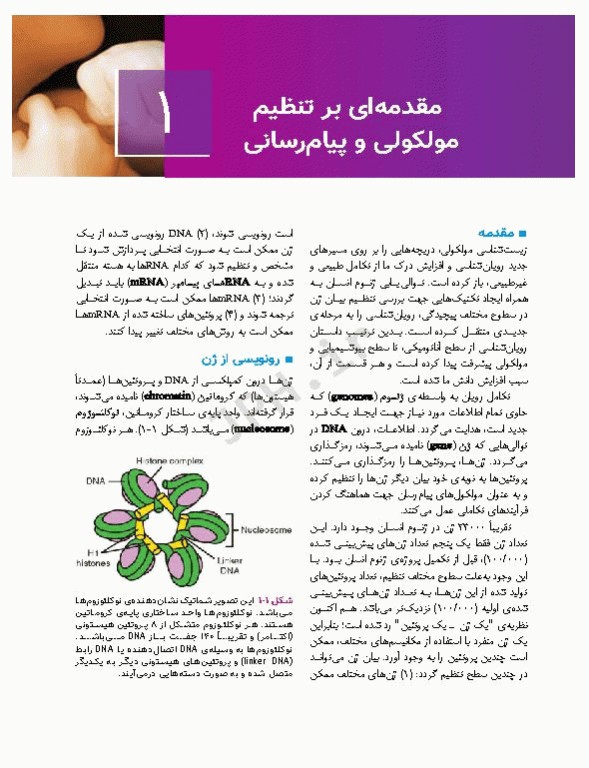 جنین‌شناسی پزشکی لانگمن 2023 دکتر مجیدپور جلد شومیز