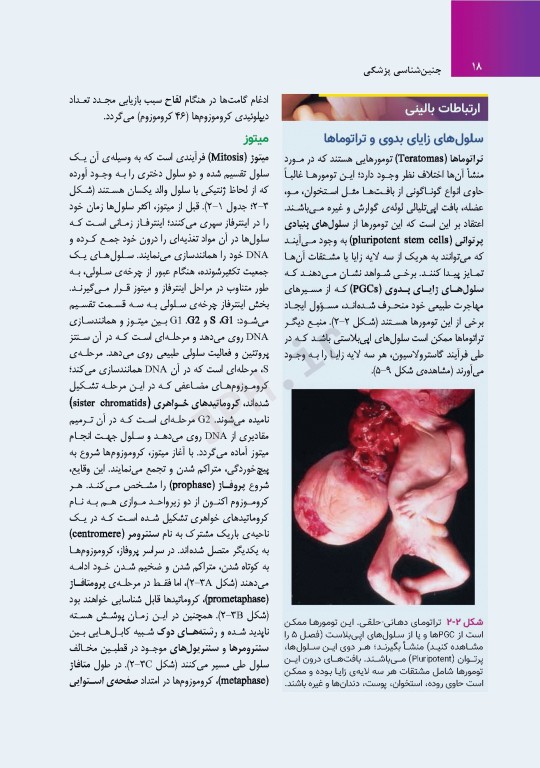 جنین‌شناسی پزشکی لانگمن 2023 دکتر مجیدپور جلد شومیز