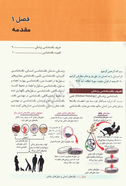 بافت‌شناسی پزشکی دکتر رجحان با اطلس رنگی جلد شومیز (نرم)