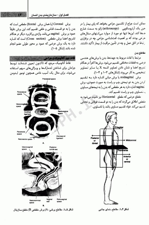 مبانی آناتومی و فیزیولوژی بالینی و جراحی