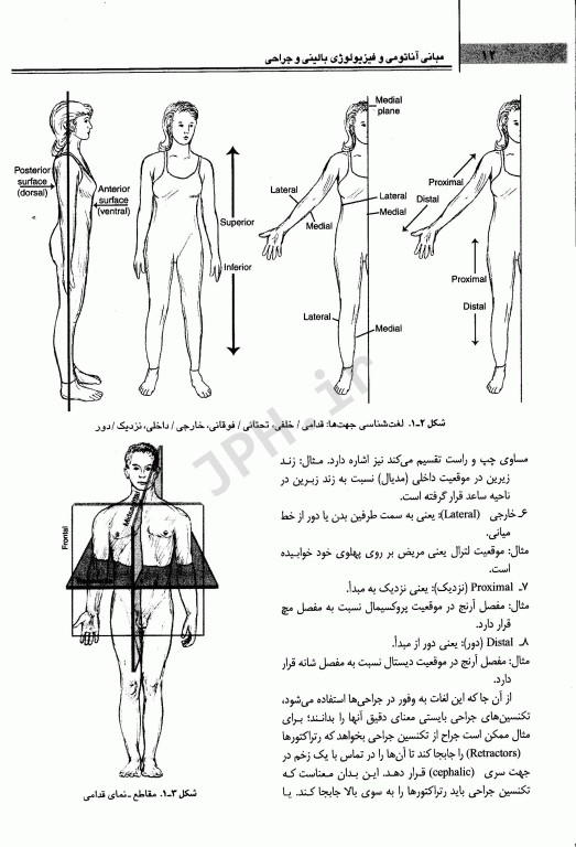 مبانی آناتومی و فیزیولوژی بالینی و جراحی
