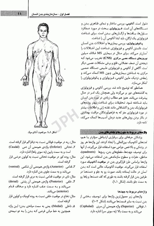 مبانی آناتومی و فیزیولوژی بالینی و جراحی